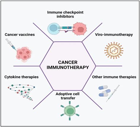 1 6 Tips To Become The Ultimate Paralegal Today Immuno Oncology
