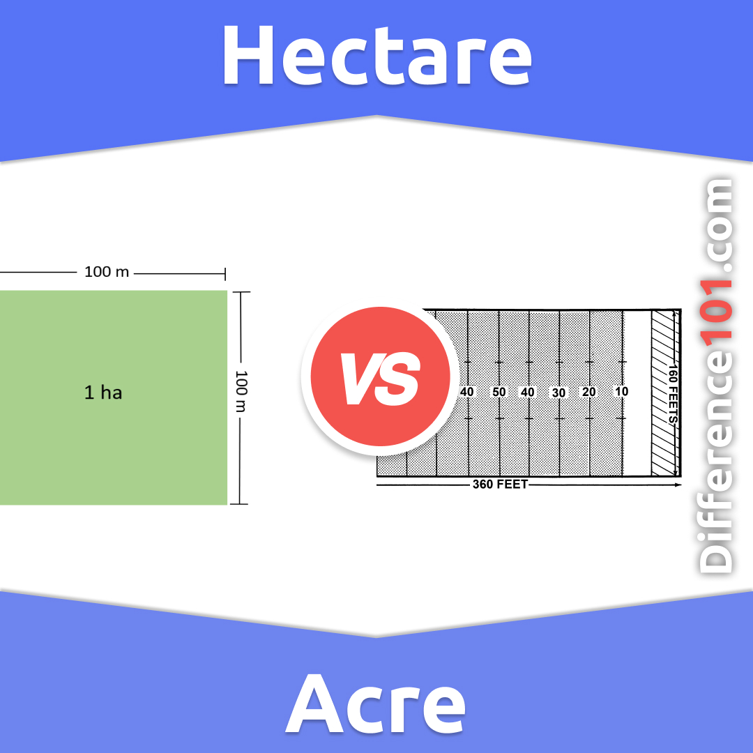 5 Ways To Convert Hectare To Acre