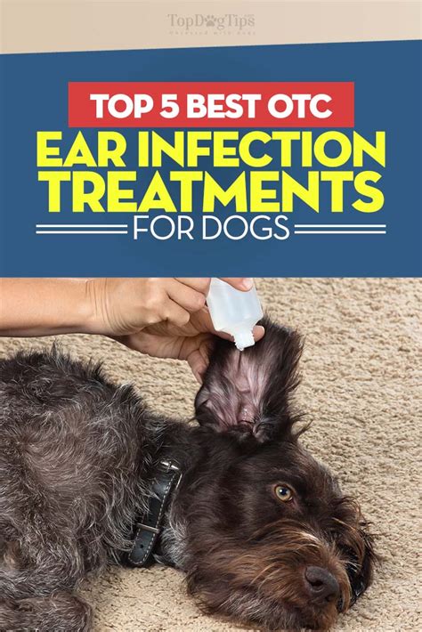 10 Best Dog Ear Yeast Infection Treatment