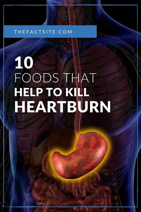 10 Foods That Help To Kill Heartburn The Fact Site
