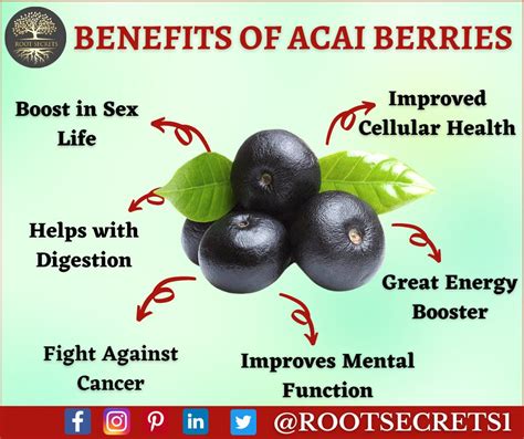 10 Types Of Berries And Their Benefits Acai Berry Benefits Healthy