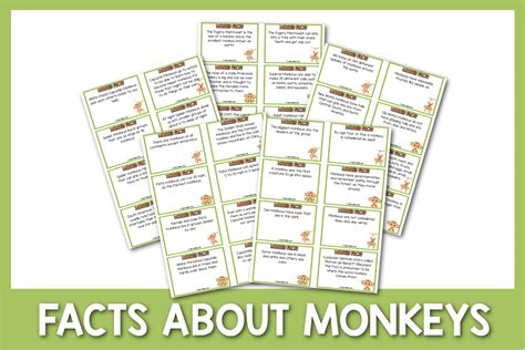 100 Marvelous Facts About Monkeys