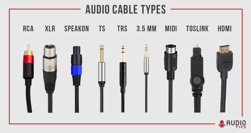 11 Audio Cable Types Explained 2023 With Infographic Audio Tips