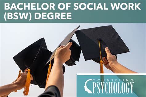15 Best Online Bachelor S In Social Work