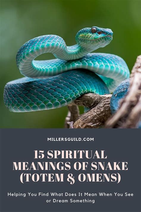 15 Spiritual Meanings Of Snake Totem Omens