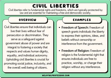 18 Civil Liberties Examples 2025