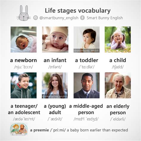 1B Ages And Stages Vocabulary