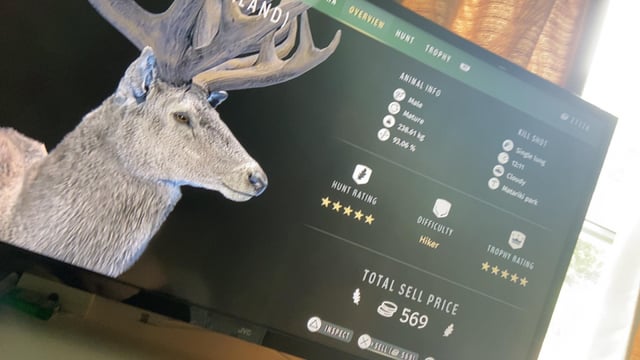 2 Different 5 Star Red Deer From The Same Herd On Different Days Way