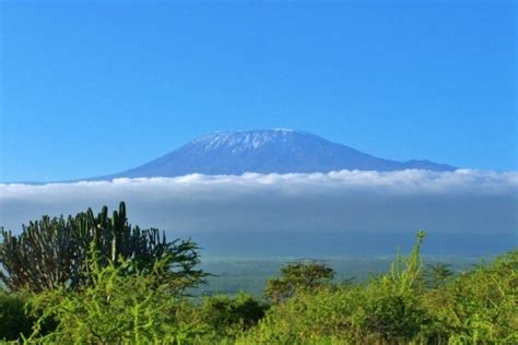 20 Amazing Kilimanjaro Facts And Figures Mountain Iq