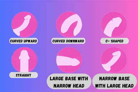 20 Different Types Of Penises Common Penis Shapes And Sizes