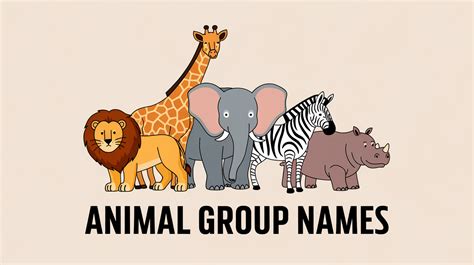 202 Animal Group Names You Should Know Richmond Mom