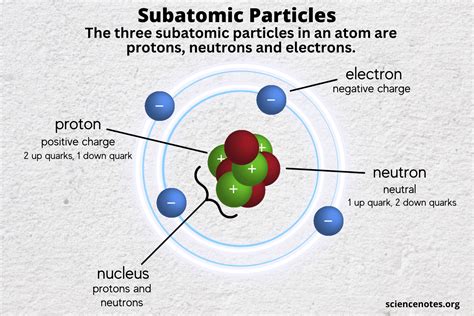 25 Facts About Atoms And Subatomic Particles Nucleus Facts About