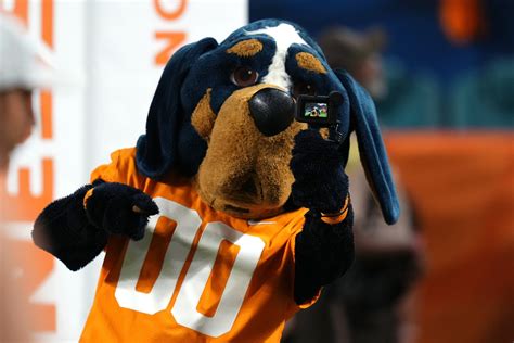 3 009 Tennessee Mascot Stock Photos High Res Pictures And Images