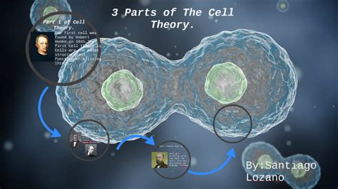 3 Parts Of The Cell Theory By Santiago Lozano On Prezi