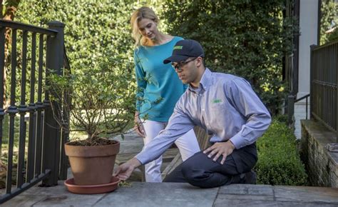 4 Helpful Tips To Prepare For Mosquito Season Terminix Terminix