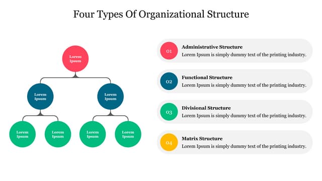 4 Types Of Organizational Structure Explained For 2025