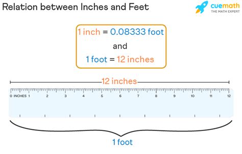 5 Feet in 40 Inches