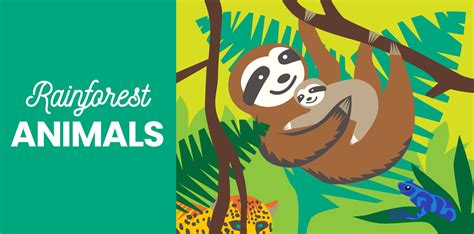 40 Rainforest Animals Birds Mammals And More From Little Passports