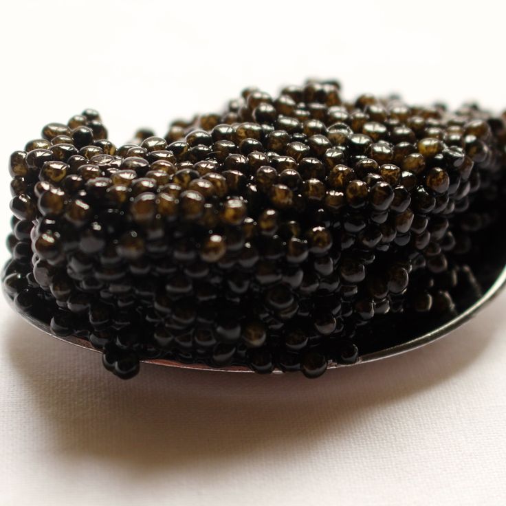 4oz to lbs Converter