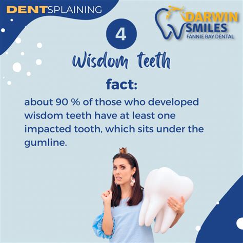 5 Facts About Wisdom Teeth Darwin Smiles Fannie Bay Dental