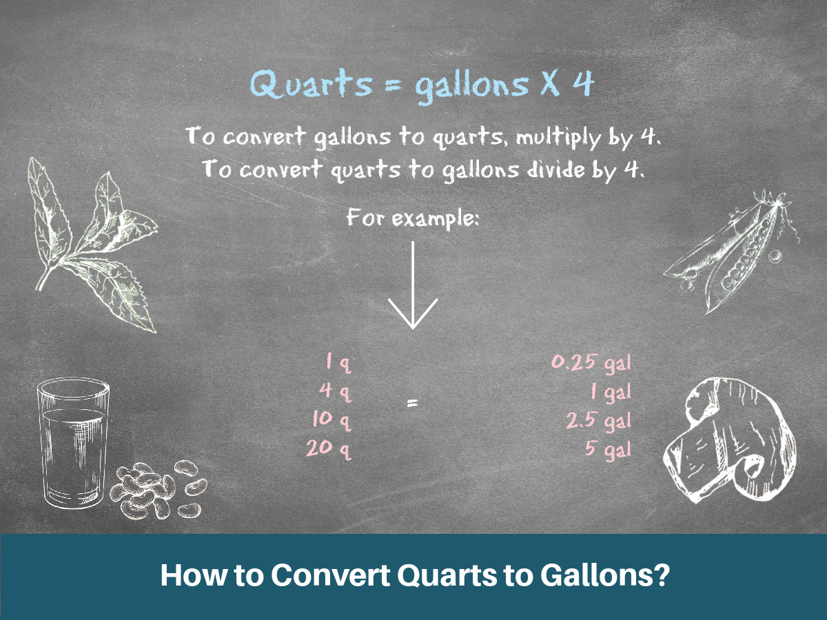 5 Gallons To Quarts Converter
