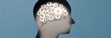 5 Ways Neuroscience Is Impacting The Classroom Northeastern