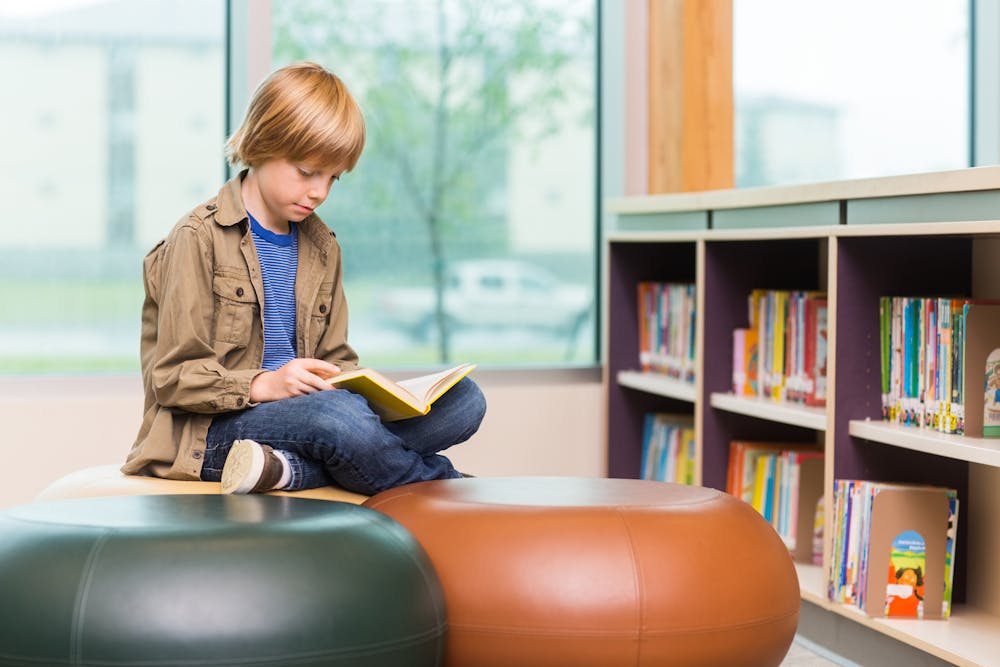 5 Ways School Libraries Support Student Well Being
