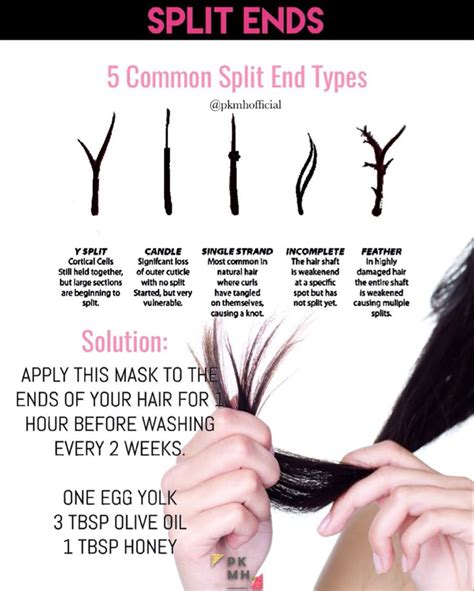 5 Ways To Put An End To Split Ends