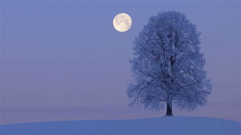 50 2024 Ubuntu Cold Moon