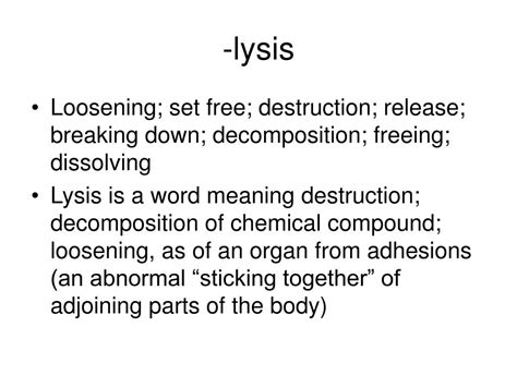55 Hd What Is Lysis In Medical Terms Insectza