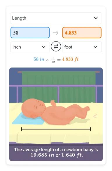 58 Inches to Feet Converter