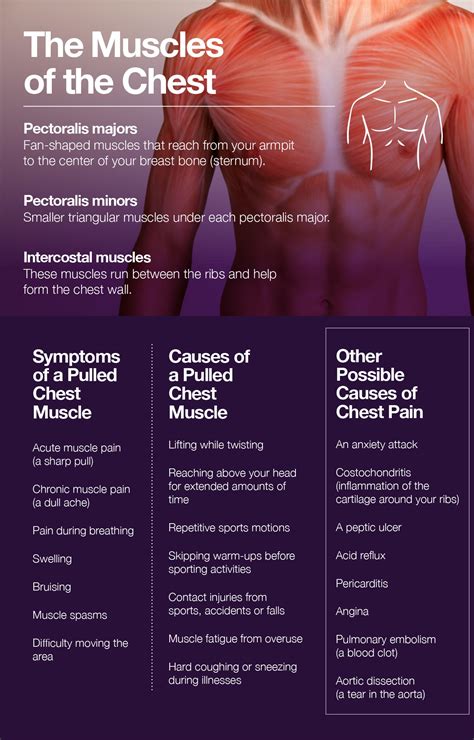 6 Painful Chest Muscle Strain Symptoms Pmir