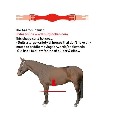 7 Facts About Girths Your Horse Wants You To Know