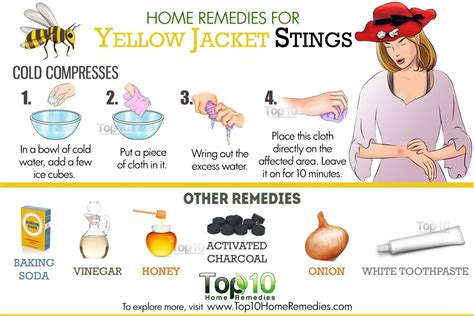 7 Home Remedies To Try When Yellow Jacket Stings You