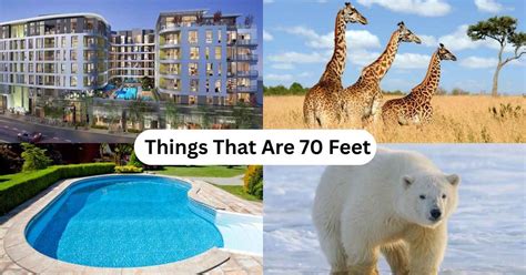 70 inches in feet conversion