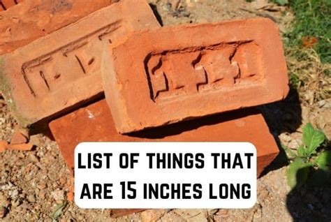 8 Common Things That Are 15 Inches Long Measuring Troop