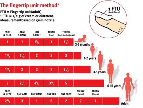 A Finger Tip Unit Download Scientific Diagram