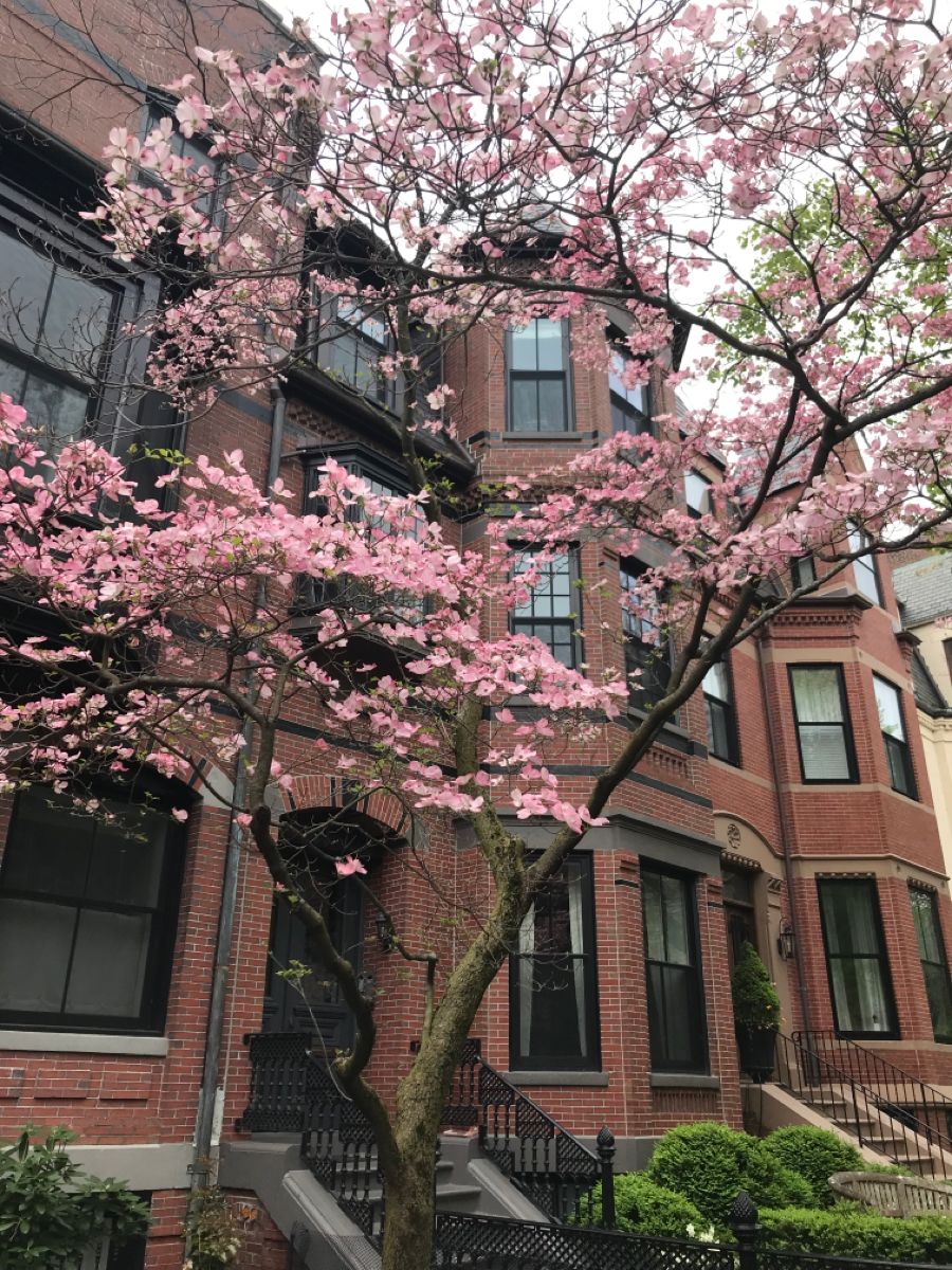 A Guide To Boston S 23 Neighborhoods