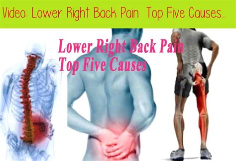 A Guide To Lower Right Back Pain