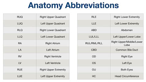 Abbreviation For Anatomy