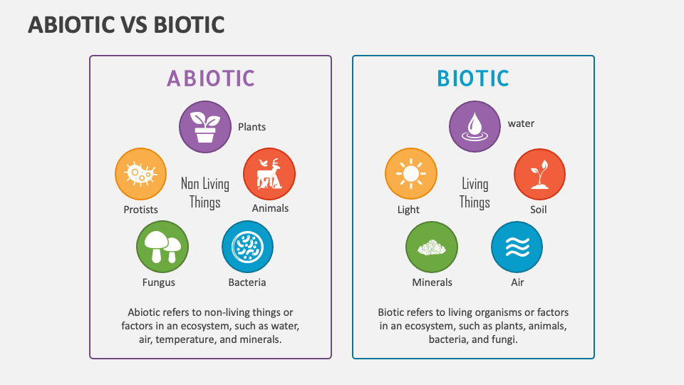 Abiotic Vs Biotic Web
