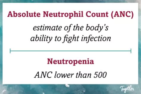 Absolute Neutrophil Count Anc And Neutropenia Together By St Jude