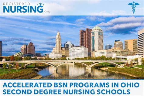 5 Best BSN Schools