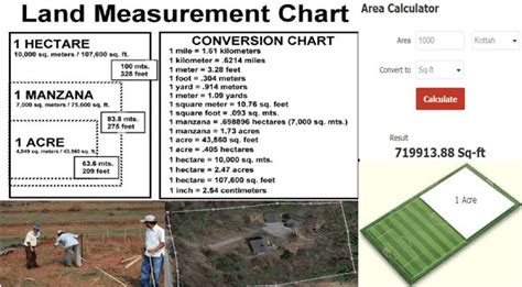 Acre To Meter Acetolake
