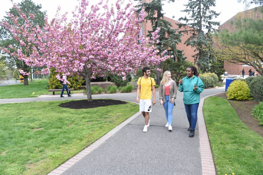 Adelphi School Of Social Work Partners With The New Seminary For Online