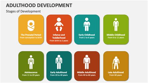 Adulthood Development Youth And Young Adult Development And Economic
