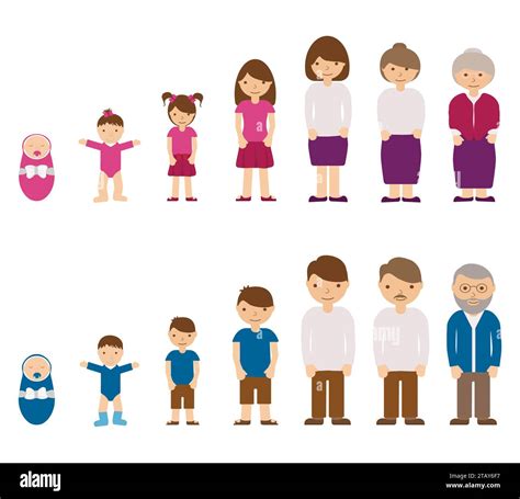 Aging Concept Of Male And Female Characters Baby Child Teenager Young Adult Old People