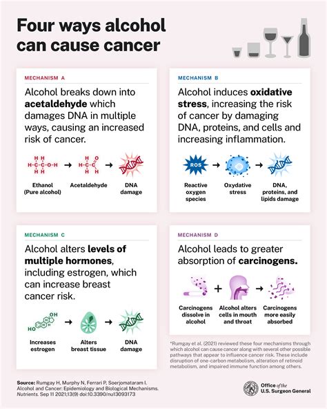 Alcohol And Cancer Risk Hhs Gov