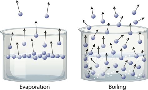 All Molecules Of A Liquid Take Part In The Process Of Evaporation