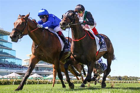 All Star Mile 2025 Betting Tips Will Mr Brightside Record A 10Th